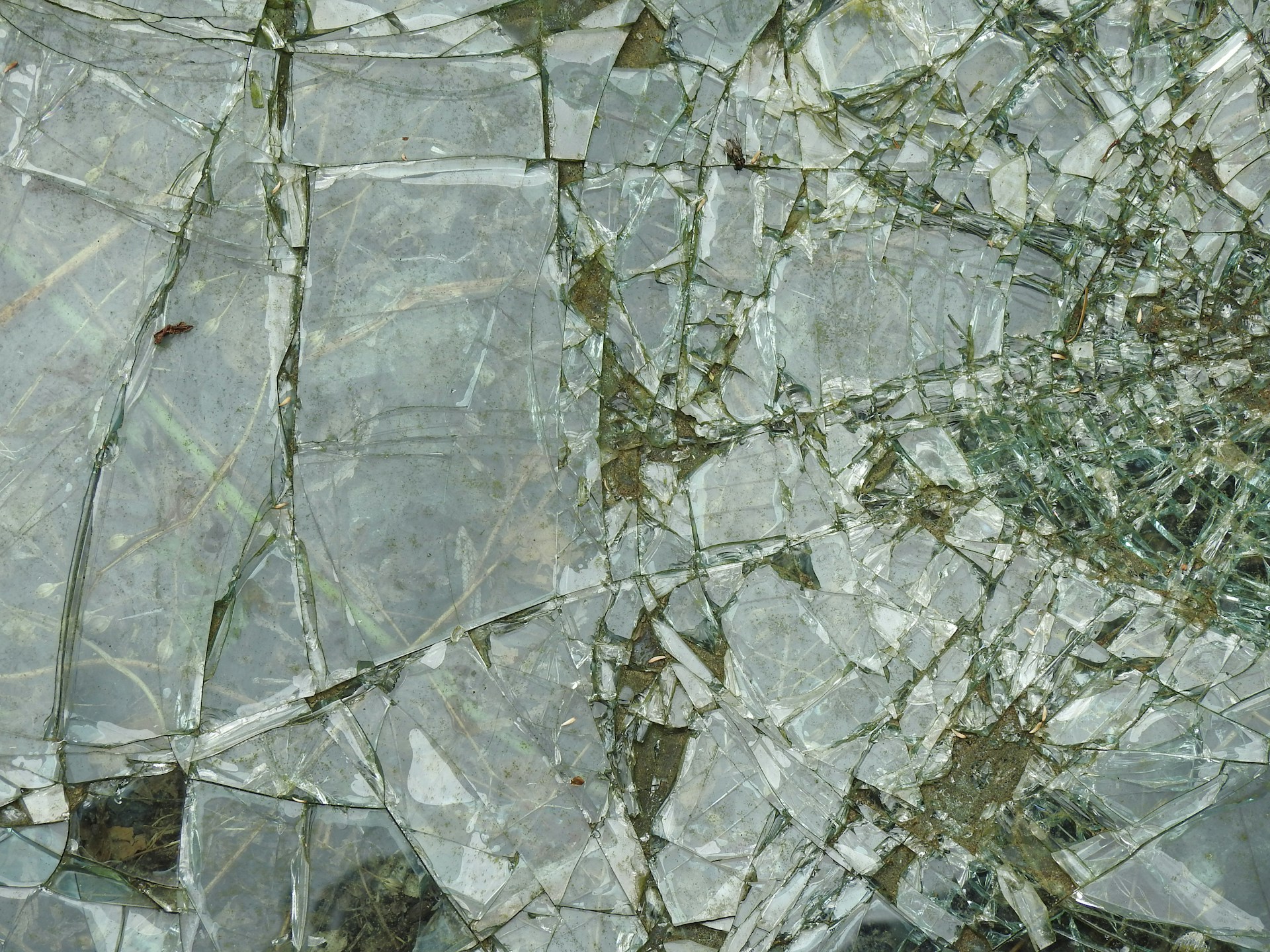 Ballistic Glass Transforms Public Space Security Standards